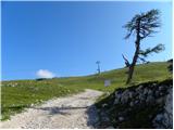 Planina Jezerca - Planina Dolga njiva (Krvavec)